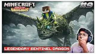 Catching the Legendary Sentinel Dragon 🔥| Minecraft World of Dragons