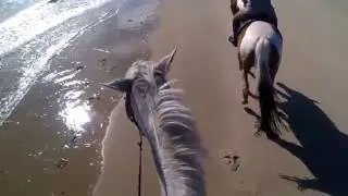 R&ouml;m&ouml; Strandgalopp mit Helmkamera