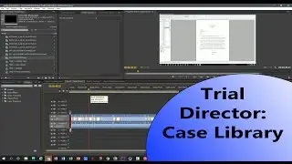 Trial Director - Step 2 - Understanding Case Library