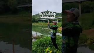 dispot ini banyak babon terselamatka #fishing #mancing #wgm