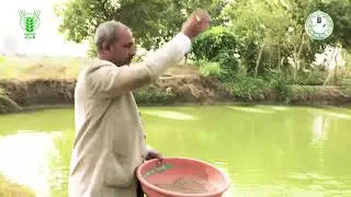Success story of fish husbandry
