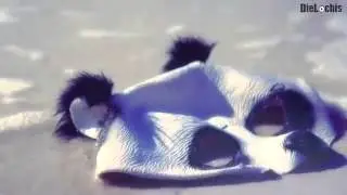 Die lochis Cro du bist ein panda sohn