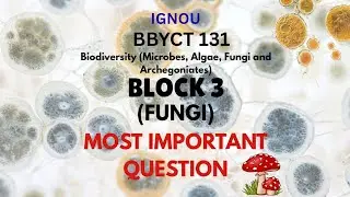 IGNOU BBYCT 131 IMPORTANT QUESTIONS | BLOCK 3 | BOTANY