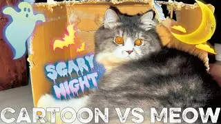 Horror || Cartoon box destroyer || Moew 👻🐈&zwj;⬛