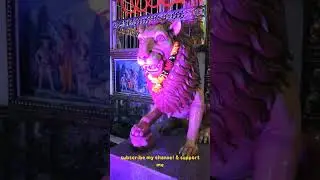 Durga Puja special video #fanish vlogs #support #subscribe my channel.