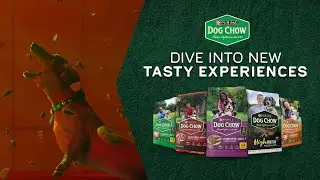 Dive into NEW tasty experiences from Dog Chow&reg;