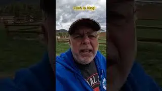 Cash is King and Provides A High Level of Security! #preppertalk #shtf #money #moneytips #prepping