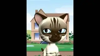 How to use Talking 3 Friends Cats & Bunny