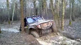 in the woods at minety