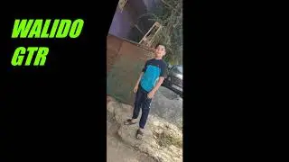 WALIDO GTR 2020