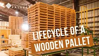 Lifecycle of a Wooden Pallet