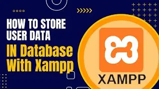 Storing User Data in a Database with XAMPP - Step by Step