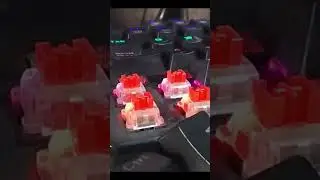 T-dagger Bora