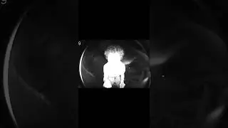 Caveman Discovers Fire