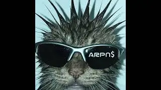 VZN - BASANTI / HEARTBREAKER | sped up | ARPN$