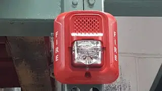 System Sensor L Series Temporal Code 3 Fire Alarm Sound Effect