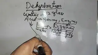 Dehydration | Stomach acidity 