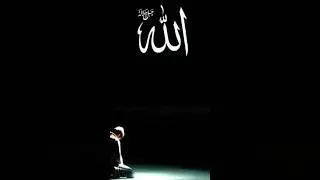 ❤ya Allah 🥰 #unfrez #unfrezzmyaccount #duetsongs #lovesongs #romanticsongs #answer#beautiful#unfrez