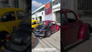 Vw Vocho #vocho #vochomx #fuscabrasil #beetle #vwsedan #volkswagen #Vwlifestyle #vwoval #porsche
