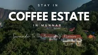 Best Resort in Munnar? Windermere Estate Review | Coffee & Cardamom Plantation Stay (Not Sponsored)