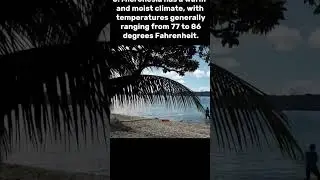 #facts about #micronesia