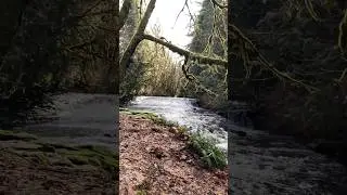 Upper Beaver Falls