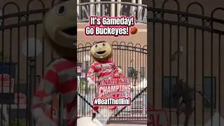 It&rsquo;s Gameday! Go Buckeyes! 🌰🏈🅾️ #ohiostate #buckeyes #gobucks