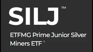 SILJ ETFMG Prime Junior Silver Miners Market Review