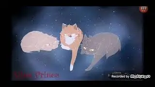 коты воители песня awaken