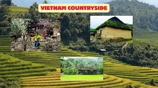 Vietnam Countryside | Peaceful Village Life in Vietnam | Beautiful Nature & Rice Fields