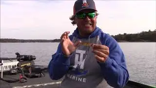 Timmy Horton: Poppers VS Walking Baits