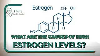 WHAT ARE THE CAUSES OF HIGH ESTROGEN LEVELS?
