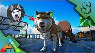 DIREWOLF BREEDING + IMPRINTING! | MY DOG IS IN ARK! | Ark: Survival Evolved [S2E61]