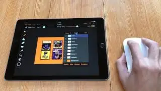 Magic Mouse connected to an iPad running Pixure with PanelKit