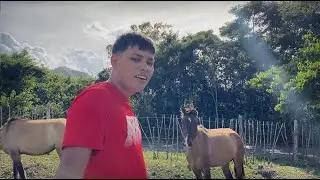 CHAMP&Aacute;N Y ROS&Eacute; - JAVI ROSE | (VIDEO)