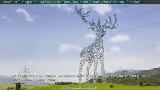 Austria Is Turning Its Boring Power Lines Into Giant Metal Animals  And Its Not Just For L
