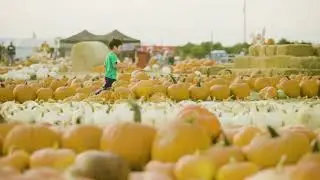 Texas Pumpkin Fest 2022 Official Promo Video
