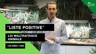 Où en est la « liste positive » ? | Loi maltraitance animale