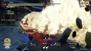 Monster Hunter Rise - Double Furious Rajang Arena chaos