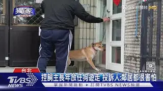 #獨家  養狗不繫繩「屢勸不聽」 飼主嗆:閒到沒事做?｜TVBS新聞 @TVBSNEWS01