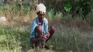 Good Agricultural and Collection practices of Medicinal Plants (3) &ndash; India