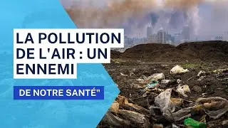 COMMENT LA POLLUTION ATMOSPHÉRIQUE AFFECTE T ELLE LA SANTÉ HUMAINE  LES RÉPONSES DE LA SCIENCE