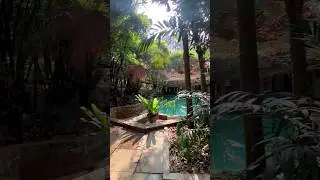 Experience farm stay in South Goa. Unique experience from your daily city life. #goa #farmstay #stay