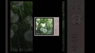 nostalgic #nostalgia #nostalgic #edit #2000s #nature #camera #photos #photography #aesthetic