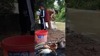fish grill / ត្រីអាំង