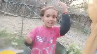 Damma found in the field #