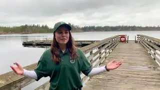 Creating a park at Cranberry Lake