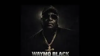 Waymo Black 