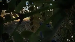 Sniper Ghost Warrior Contracts 2
