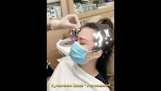 Eyebrow Semi - Permanent makeup. Embroidery / Microblading